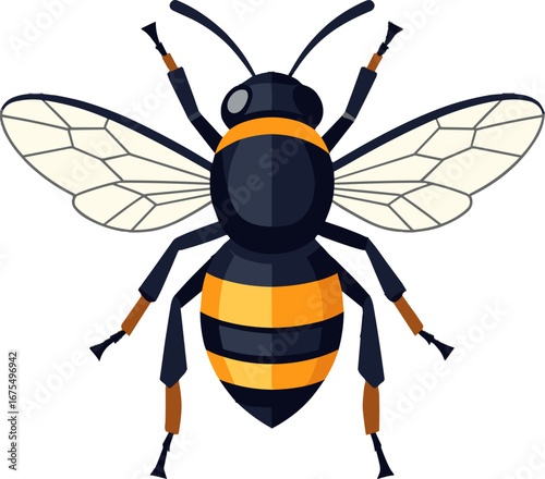 Black Yellow Bee Insect Closeup Garden Pollination Concept