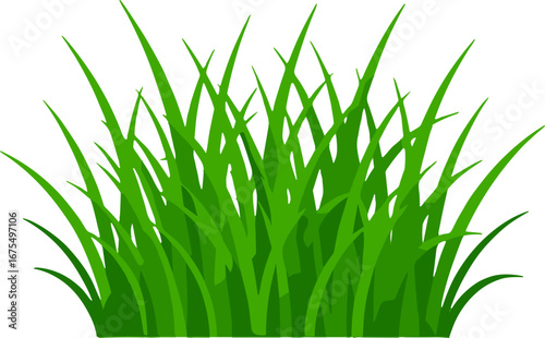 Green Grass Patch Lawn Turf Gardening Landscape