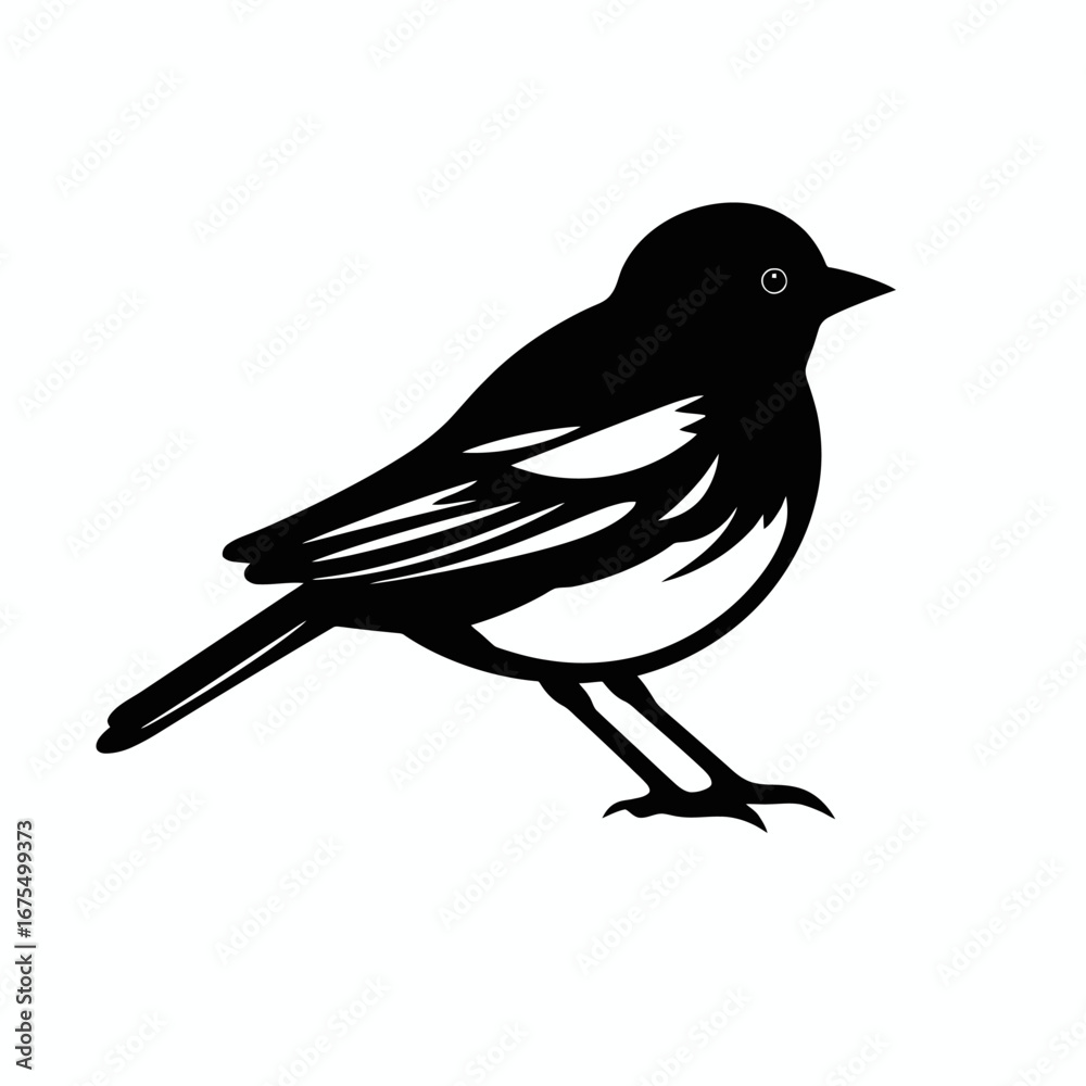 Obraz premium Elegant black and white bird illustration standing gracefully, a nature vector silhouette
