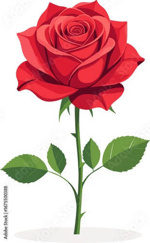 Red Rose Flower Bloom Single Stem Decorative Floral Element
