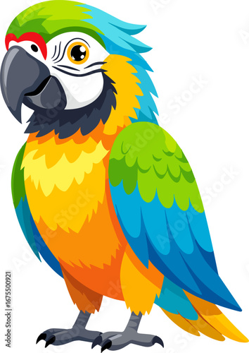 Colorful Macaw Parrot Tropical Bird Exotic Wildlife Illustration