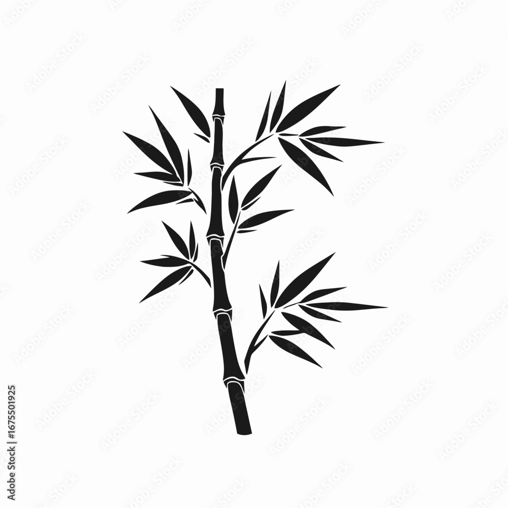 Obraz premium Elegant bamboo stalk with leaves against white backdrop beautiful artistic silhouette