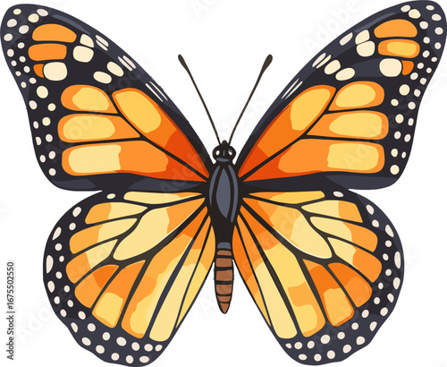 Monarch Butterfly Wings Spread Detailed Insect Illustration