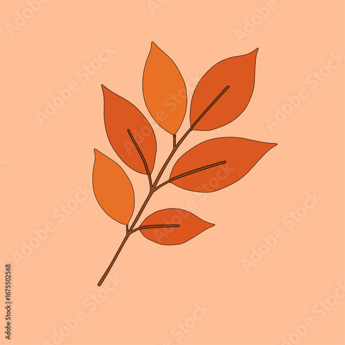 Autumn beech leaves on red background.