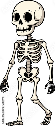 Cute Human Skeleton Cartoon Character Kids Halloween