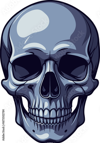 Realistic Human Skull Illustration Anatomy Study Tattoo Art