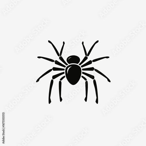 Intricate arachnid eight legs graphic horror halloween tarantula spider silhouette