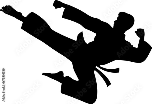 Dynamic Martial Artist Kicking Silhouette for Fitness and Sports