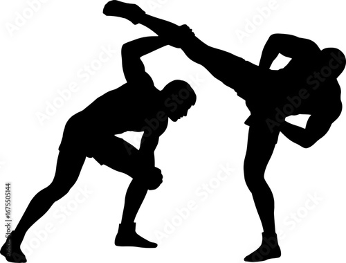 Dynamic Silhouette of Martial Artists Engaged in Combat Sports Action