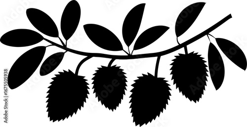 Stylized Black Silhouette of Berry Branch with Leaves for Design