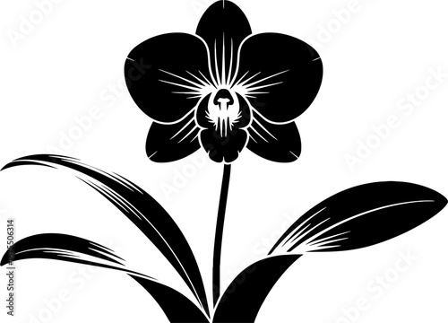 Elegant Black Orchid Flower Silhouette Design for Tattoos and Crafts