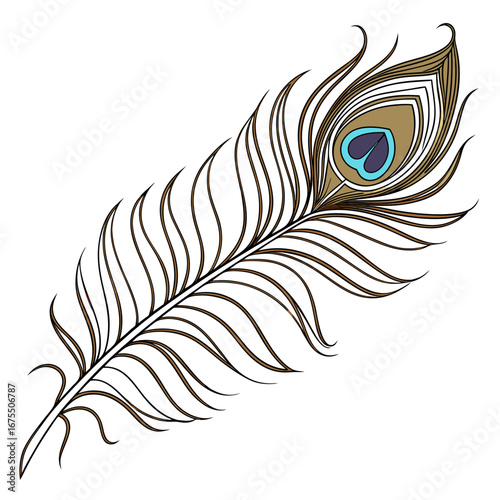Vector art of beautiful peacock feather with intricate details, a symbol of beauty and exoticism, perfect for decoration