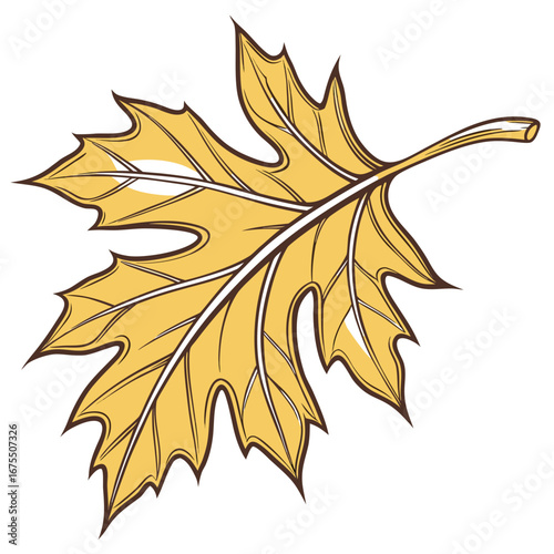 Vector art of golden oak leaf, a symbol of autumn, nature, and the changing seasons, perfect for adding a touch of fall to your designs