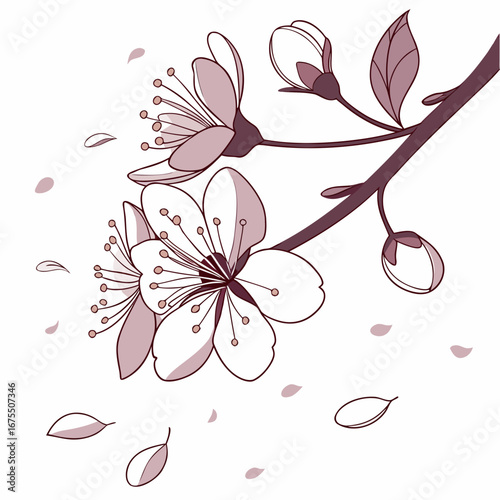 Vector art of graceful cherry blossom branch with falling petals, evoking the ephemeral beauty of spring in a minimalist design