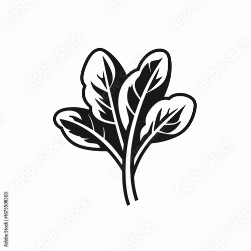 Fresh spinach plant with a minimalist black and white leaf silhouette