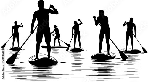 Silhouette Stand Up Paddleboarders Enjoying Calm Water Activity