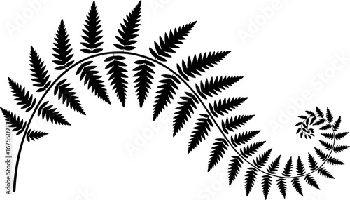 Elegant Black Fern Leaf Design for Nature Inspired Projects