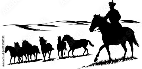 Silhouette of a Horse Rider Leading a Herd of Wild Horses