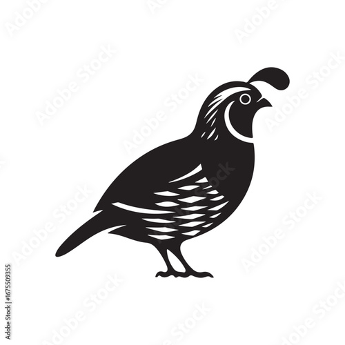 Quail Bird Silhouette Icon for Wildlife and Nature Themed Designs