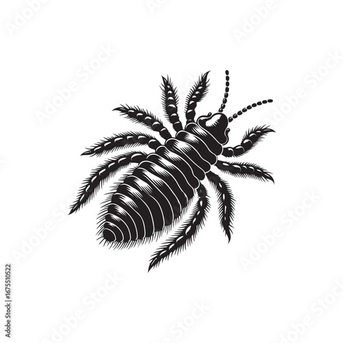 Louse Vector (3).eps