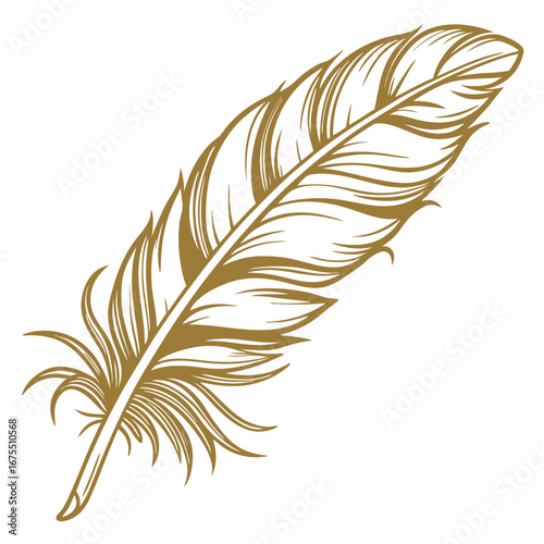 Elegant golden feather with detailed barbs and a quill isolated on a white background