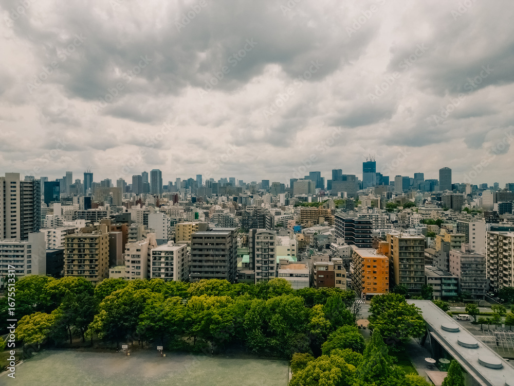 Fototapeta premium tokyo, japan - 10 august 2025 aerial view of Kiba Park