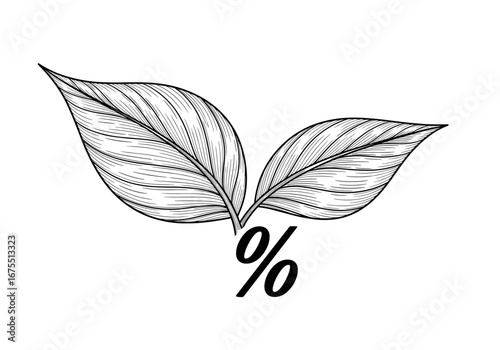Elegant hand drawn leaves symbolizing growth natural organic products and percentage discounts