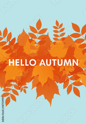 Hello Autumn A Colorful Celebration of Fall Leaves