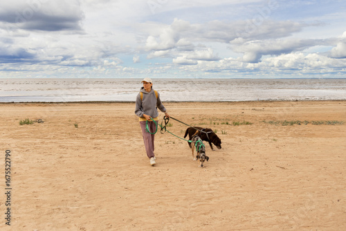 professional dog walker. person walks two pets on beach by sea. dogs on leashes, woman is wearing hat. Pet training with dog handler, dog sitter. animals in nature. shelter, dog walking volunteer.