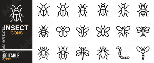 Bug and insect vector illustrations – outline icons for wildlife and science