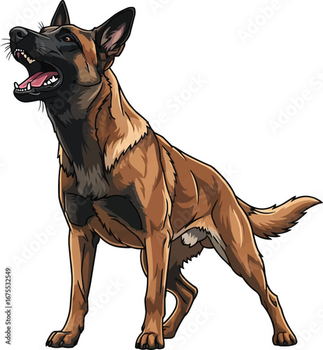 Belgian Malinois dog barking aggressive stance vector illustration