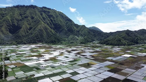 Aerial view of rice fields and mountainscape from Selong Hill, Sembalun Lawang, Lombok, West Nusa Tenggara, Indonesia.