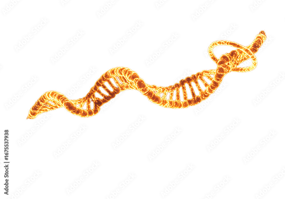 Naklejka premium Orange dna strand isolated on transparent background for science and medicine