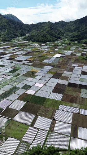 Aerial view of rice fields and mountainscape from Selong Hill, Sembalun Lawang, Lombok, West Nusa Tenggara, Indonesia.