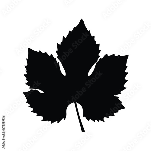 A stark black silhouette of a deeply lobed grape leaf with a textured edge against a clean white background