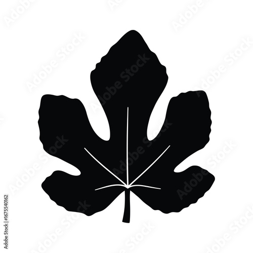 Stylized silhouette of a fig leaf with detailed veins on a clean white background