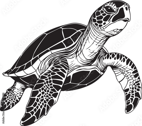Sea Turtle Illustration: A detailed black and white illustration showcases a sea turtle, with its patterned shell and flippers extended, evoking a sense of marine life.