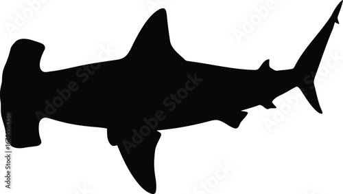Hammerhead shark silhouette isolated ocean wildlife aquatic predator vector