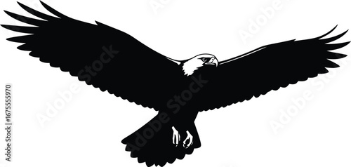 Majestic eagle silhouette wings spread flying apex predator vector