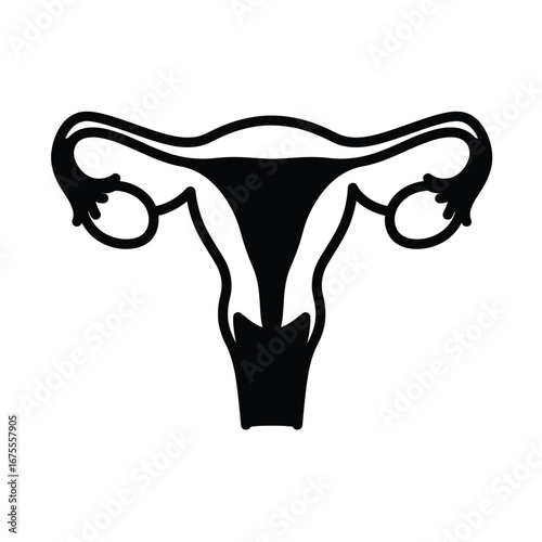 Black female reproductive system outline anatomy biology