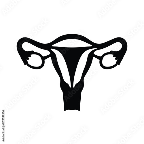 Female reproductive system anatomy diagram biology