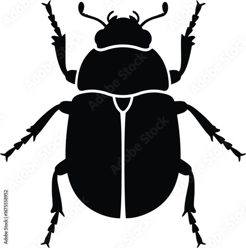 Silhouette of a black scarab beetle insect top view isolated on white vector