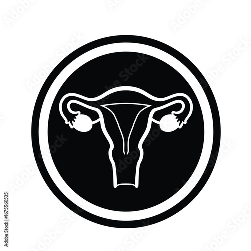 Female reproductive system diagram uterus ovaries