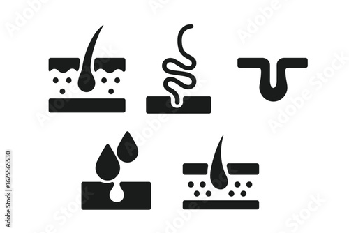 Skin anatomy vector icon set. Solid glyphs of dermatology concepts like hair follicle, sweat gland, skin pore, sebum drop, and epidermis layer for medical or beauty design.
