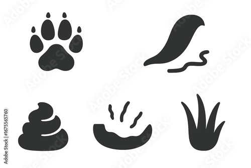 Vector icon set of skunk tracks and signs. Solid glyph collection for wildlife animal tracking. Includes paw print, tail drag mark, scat pile, digging hole, and fur tuft.