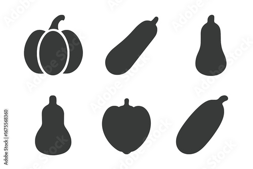 Squash icon set. Solid filled glyphs of various gourds like pumpkin, zucchini, butternut, acorn, and spaghetti squash. Vector vegetable silhouette collection for autumn food.
