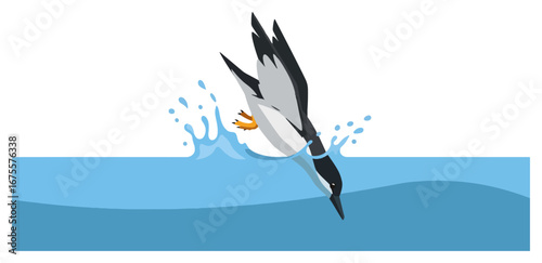 Bird Diving for Fish.