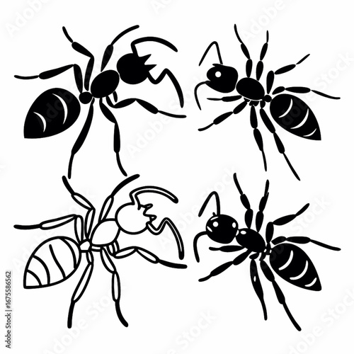 vector illustration of ants