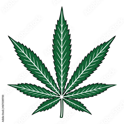 Detailed illustration of a green cannabis leaf
