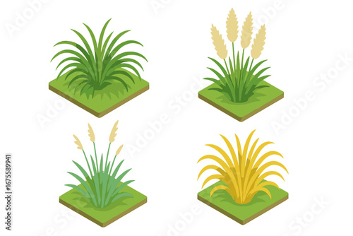 Isometric ornamental grasses icon set. Vector collection of various grass types for garden and landscape design. Pampas, fountain grass, foliage plants for nature concepts.